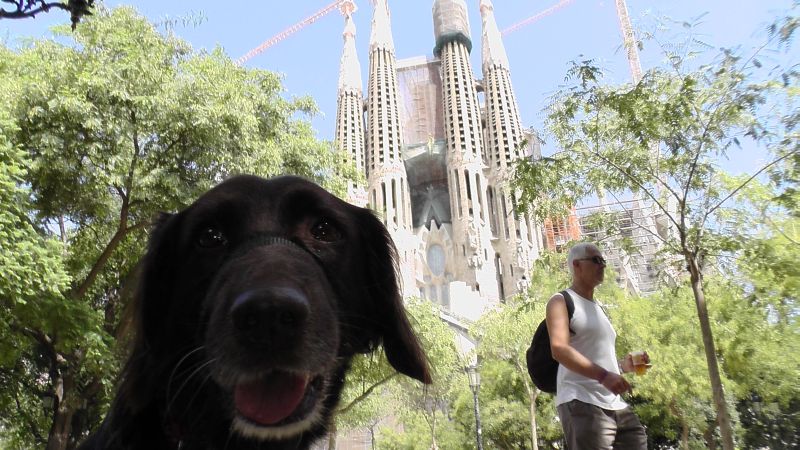 Alina vor der Sagrada Familia